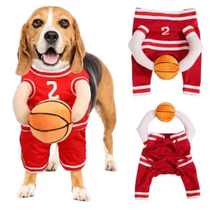 Basketball Dog Costume