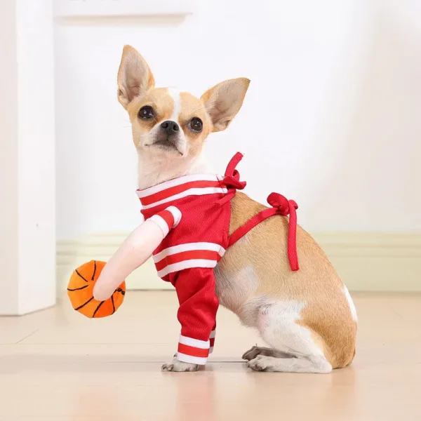Basketball Dog Costume - Image 6