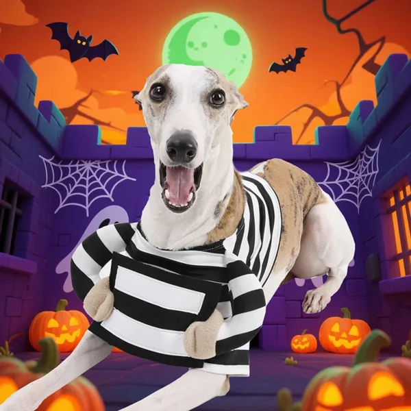 Beetlejuice Prisoner Dog Costume - Image 3