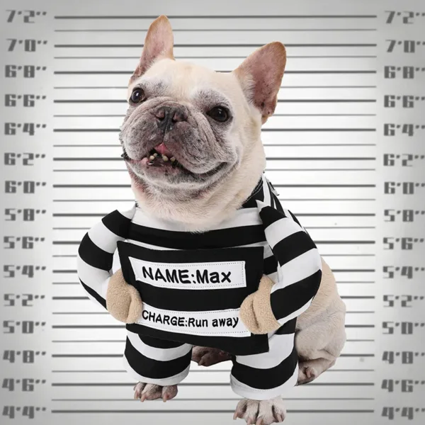 Beetlejuice Prisoner Dog Costume - Image 4