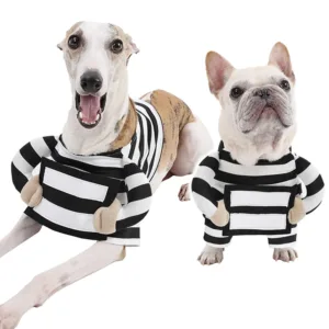 Beetlejuice Prisoner Dog Costume