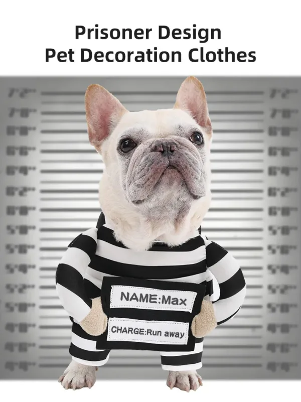 Beetlejuice Prisoner Dog Costume - Image 7