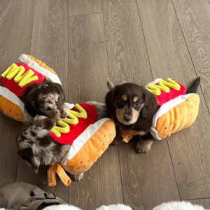 Dog Hot Dog Costume