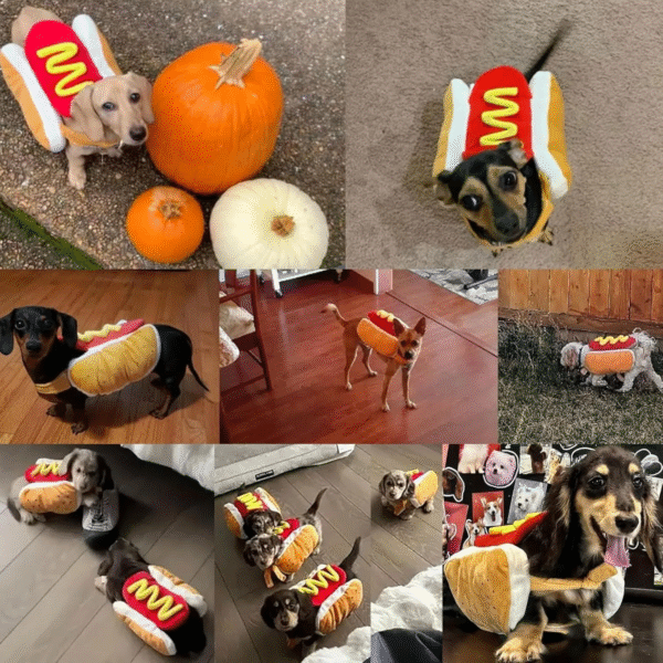 Dog Hot Dog Costume - Image 4