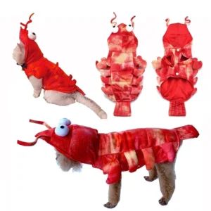 Dog Lobster Costume