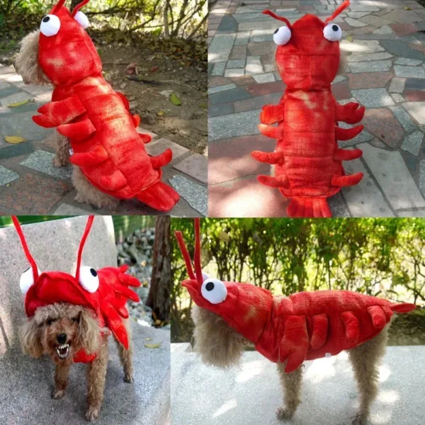 Dog Lobster Costume - Image 3