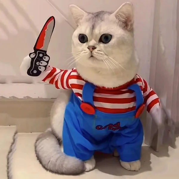 Funny Cat And Dog Halloween Costume - Image 3