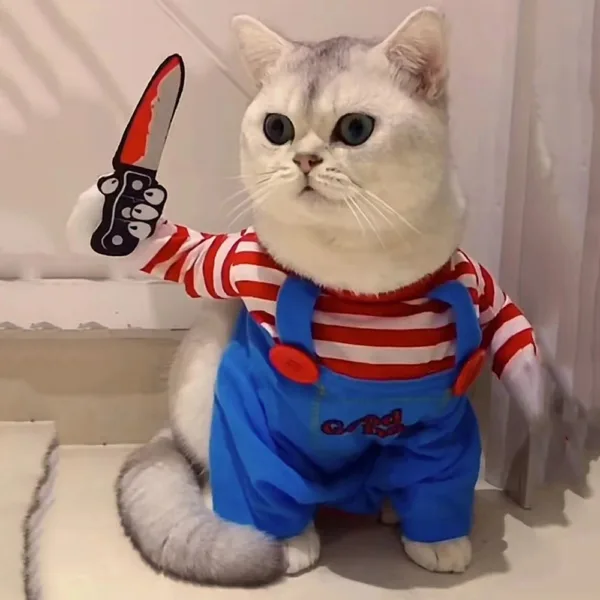 Funny Cat And Dog Halloween Costume