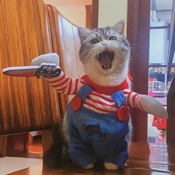 Funny Cat And Dog Halloween Costume - Image 2
