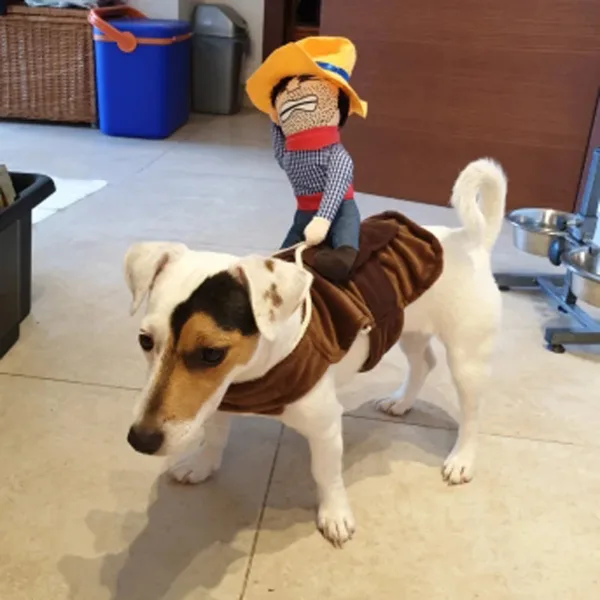 Funny Cowboy Dog Costume - Image 4