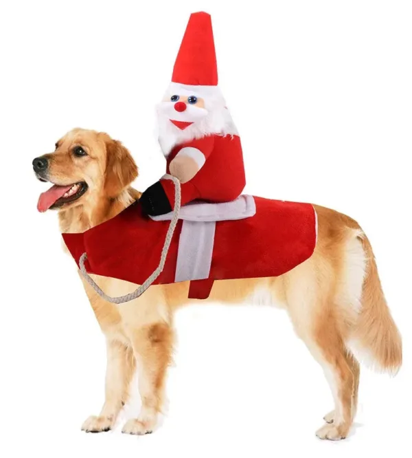 Funny Cowboy Dressing Up Costumes - Image 6