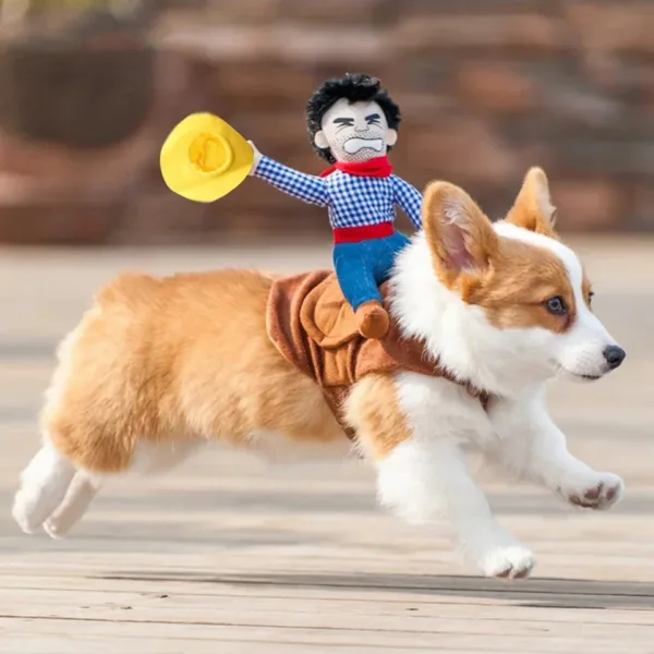Funny Cowboy Dressing Up Costumes - Image 3