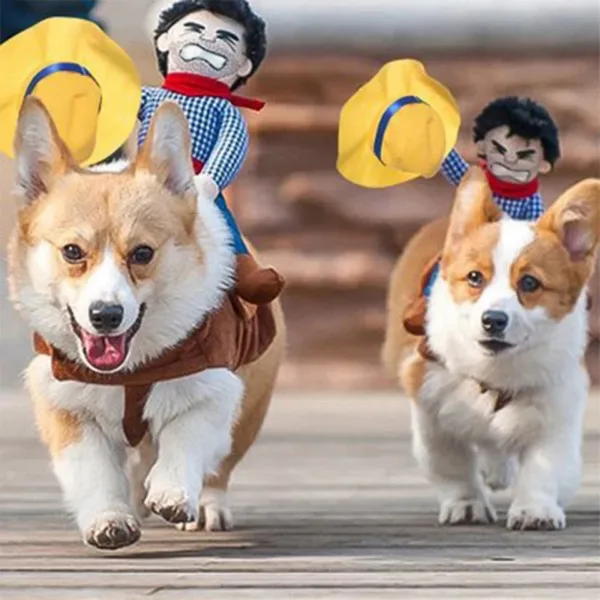 Funny Cowboy Dressing Up Costumes