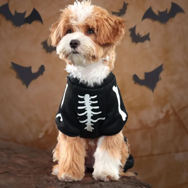 Glow-in-the-Dark Skeleton Dog Costume - Image 5