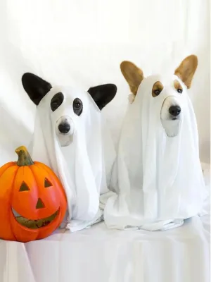 Halloween Ghost Dog Costume
