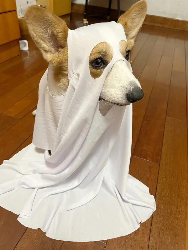 Halloween Ghost Dog Costume - Image 6