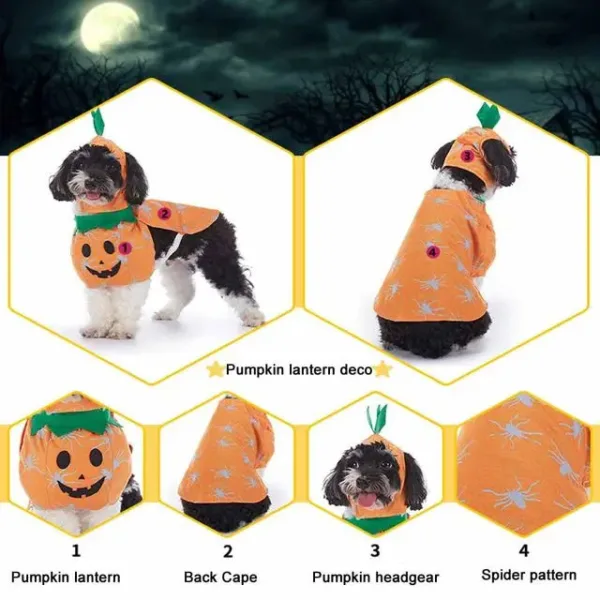 Halloween Pet Costume with Hat - Image 20