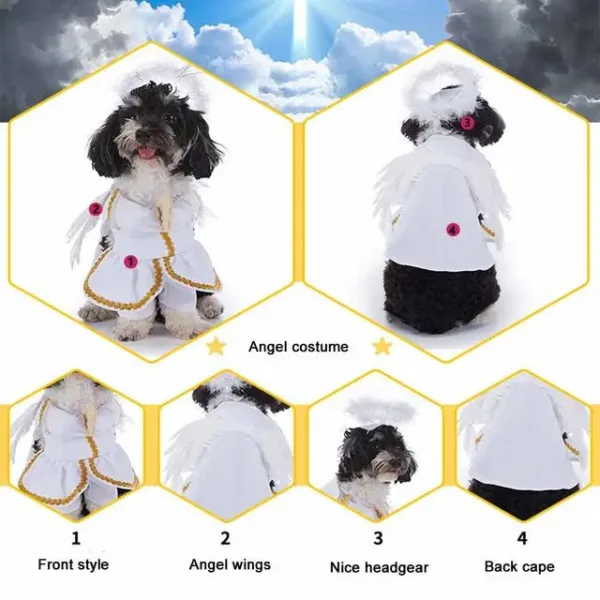 Halloween Pet Costume with Hat - Image 18