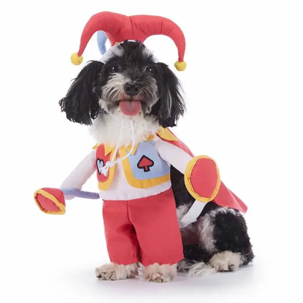Halloween Pet Costume with Hat - Image 19