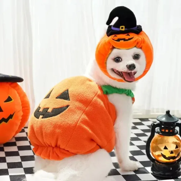 Halloween Pumpkin Dog Costume - Image 2