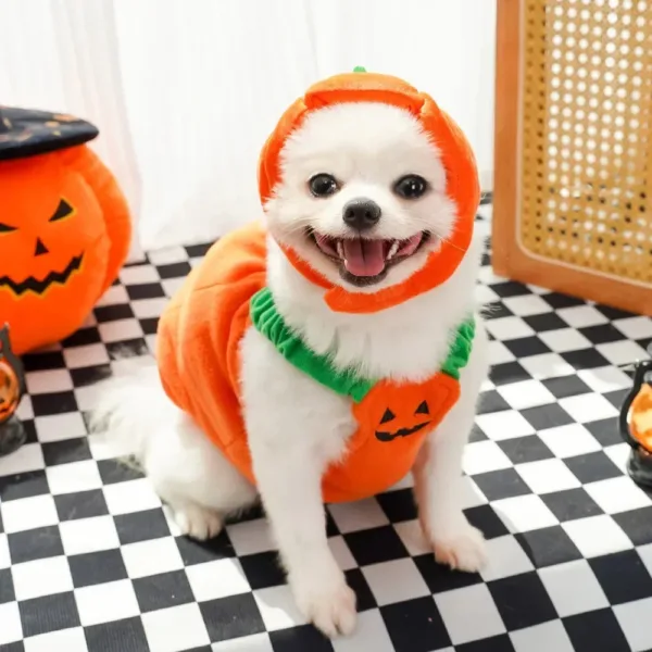 Halloween Pumpkin Dog Costume - Image 10