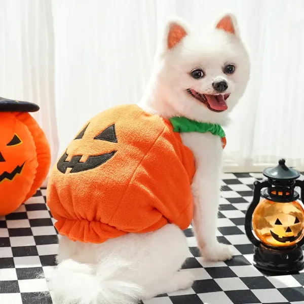 Halloween Pumpkin Dog Costume - Image 7