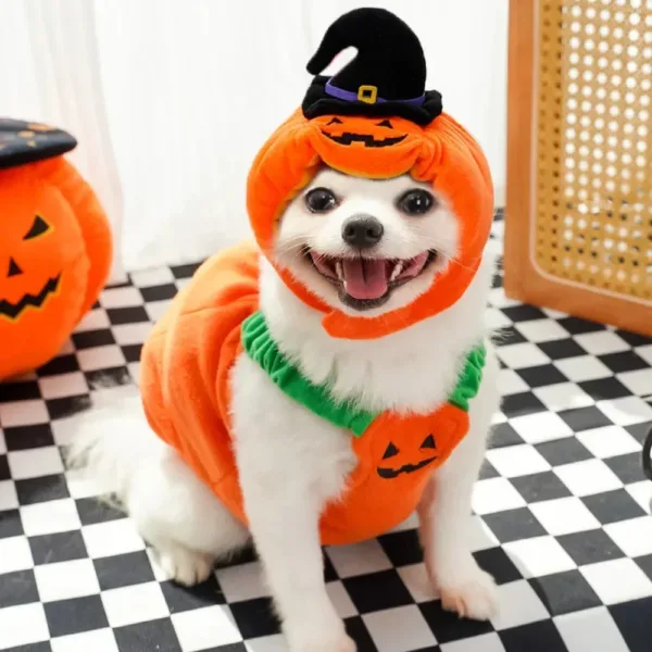 Halloween Pumpkin Dog Costume - Image 4