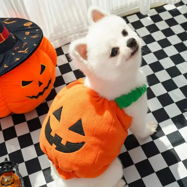 Halloween Pumpkin Dog Costume - Image 8