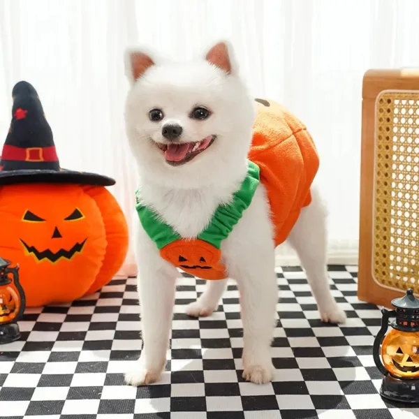 Halloween Pumpkin Dog Costume - Image 9