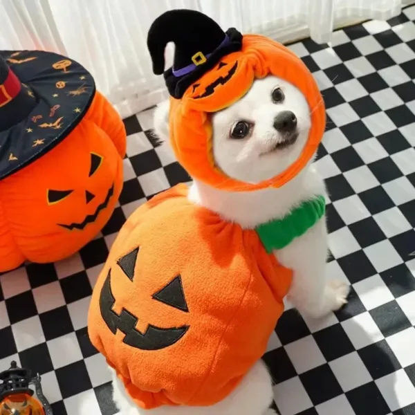 Halloween Pumpkin Dog Costume - Image 3