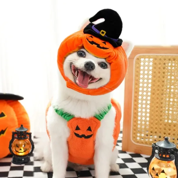 Halloween Pumpkin Dog Costume - Image 5