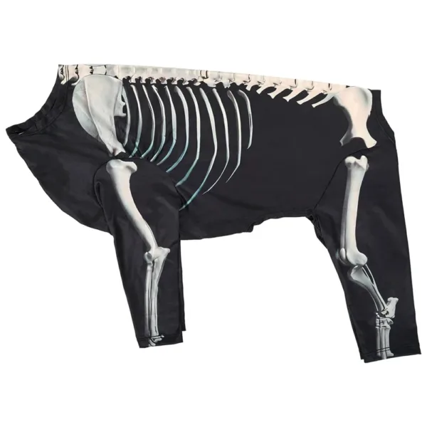 Halloween Skeleton Dog Costume - Image 2