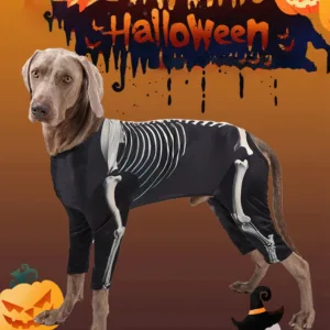 Halloween Skeleton Dog Costume