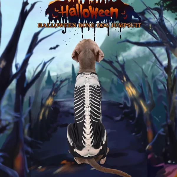 Halloween Skeleton Dog Costume - Image 7