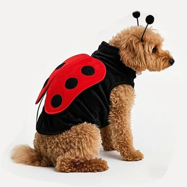 Ladybug Dog Costume with Wings and Antennae - Image 3