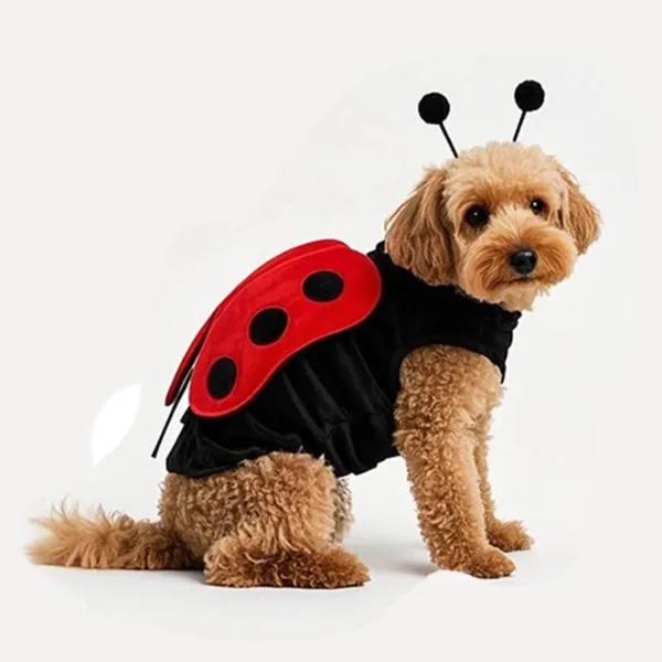 Ladybug Dog Costume with Wings and Antennae - Image 4