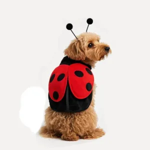 Alternative view of Ladybug Dog Costume with Wings and Antennae