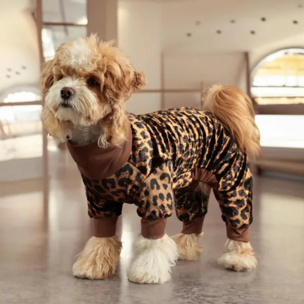 Leopard Dog Costumes - Image 14