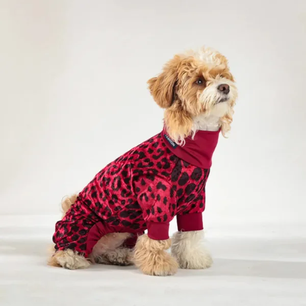 Leopard Dog Costumes - Image 10