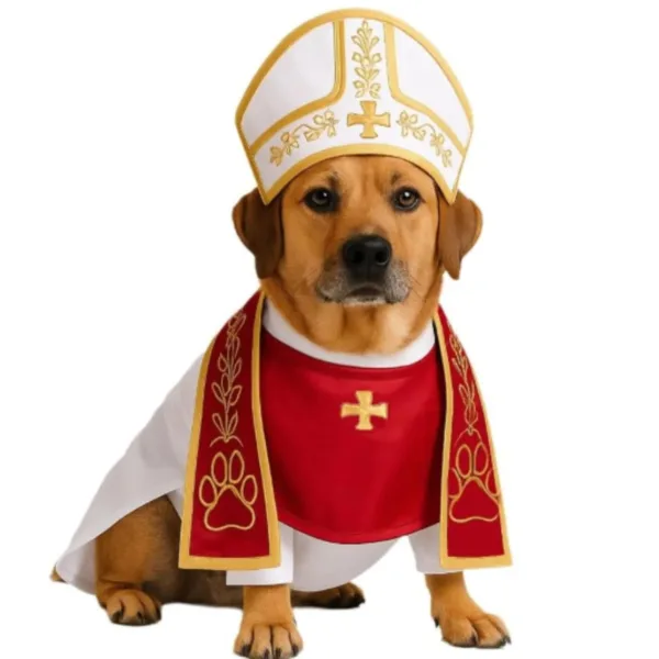 Pope Hat Costume - Image 4