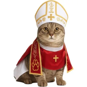 Pope Hat Costume