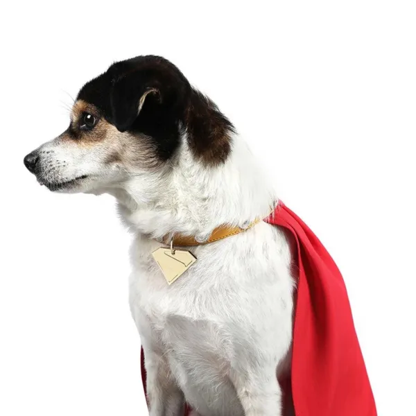 Superhero Dog Costume - Image 3