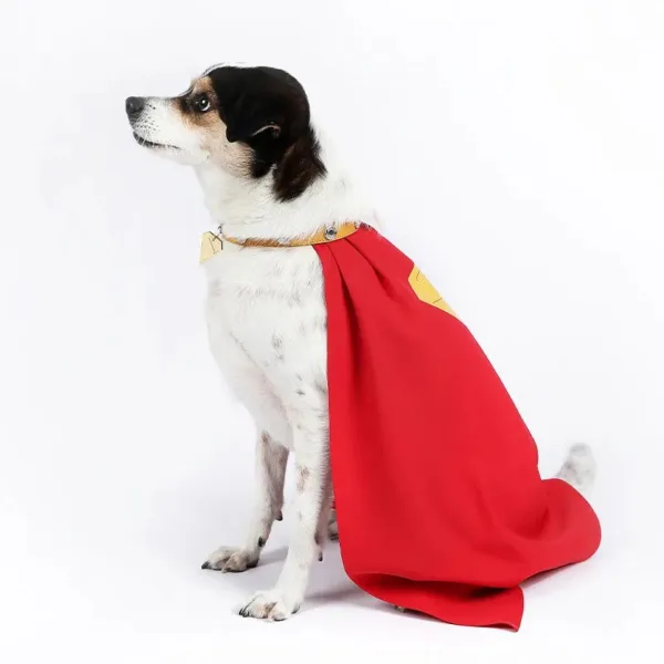 Superhero Dog Costume - Image 4