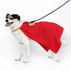 Superhero Dog Costume