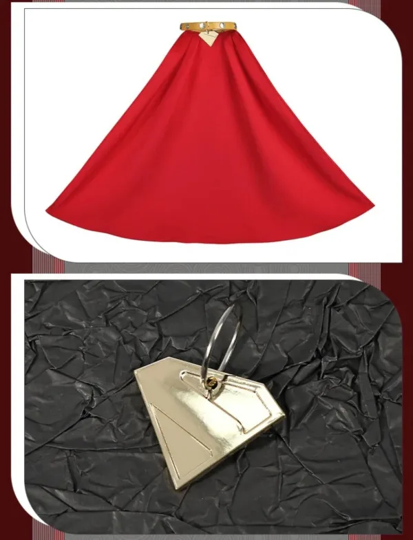 Superhero Dog Costume - Image 9