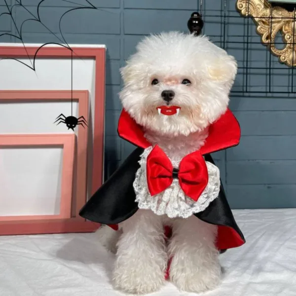 Vampire Dog Costume - Image 2