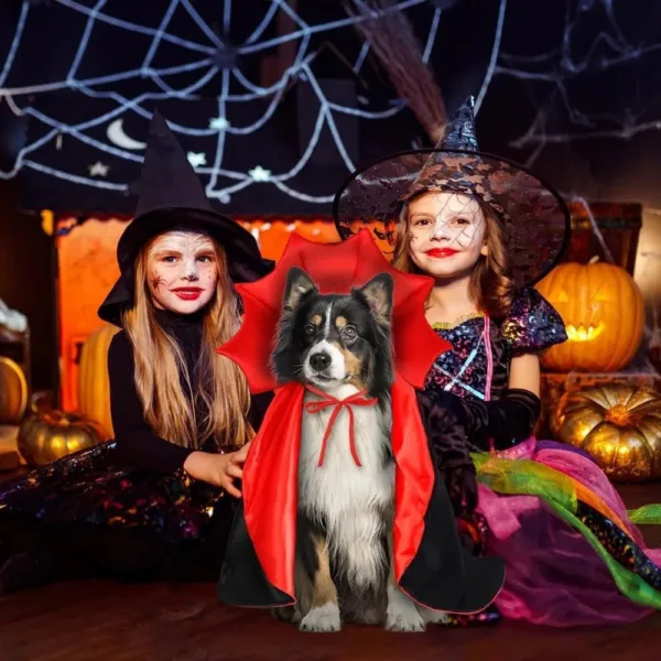 Vampire Dog Costume - Image 6