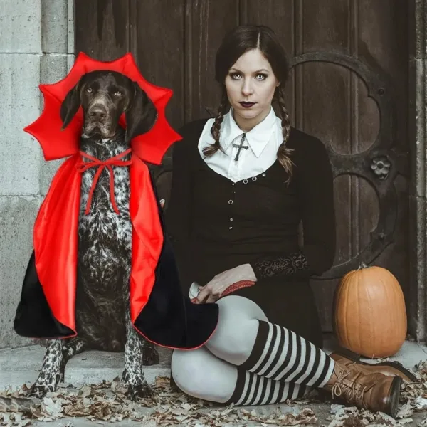 Vampire Dog Costume - Image 3