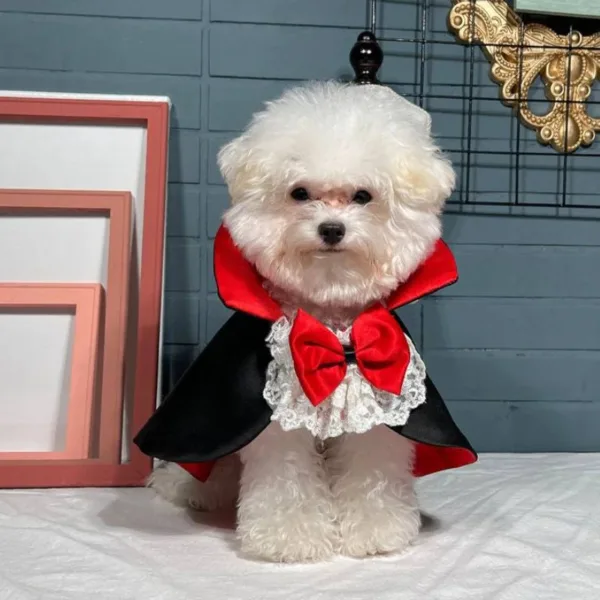Vampire Dog Costume