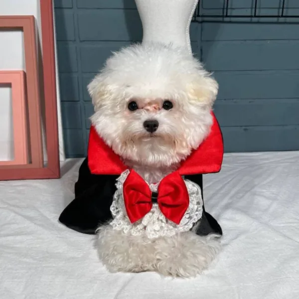 Vampire Dog Costume - Image 3